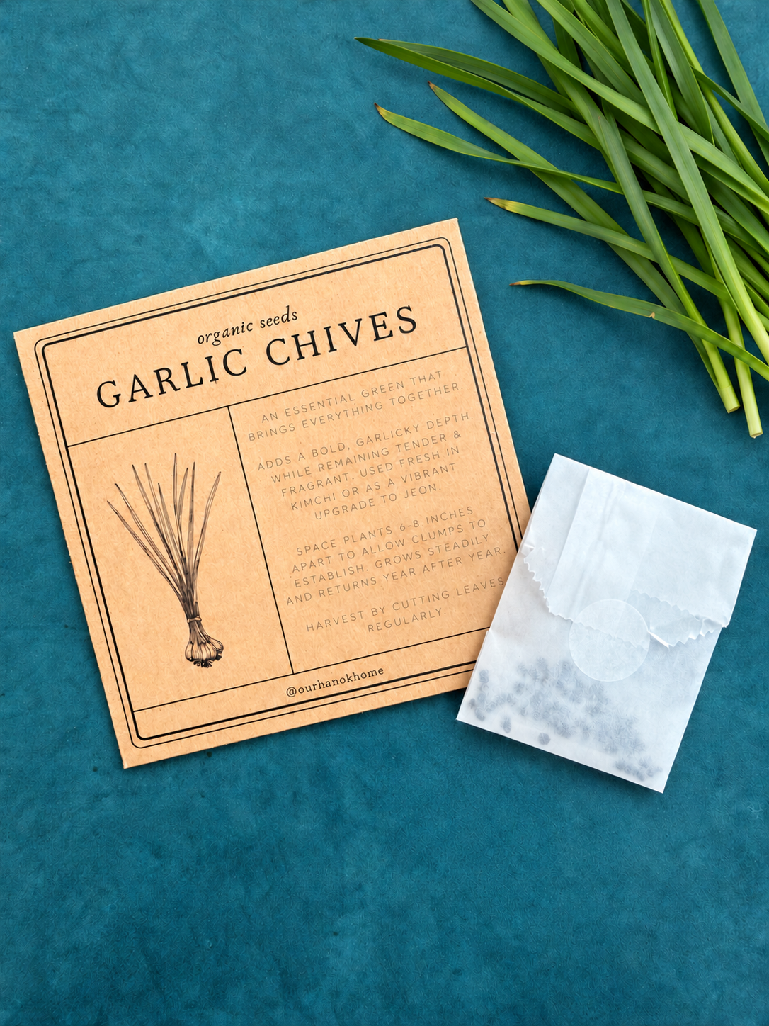 Kimchi Garden Seed Kit